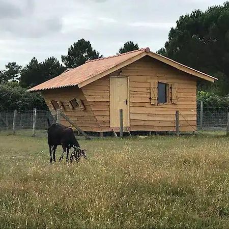 Gite - La Ferme A La Plage Le Porge Exterior photo